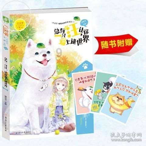 玩具店里的娃娃